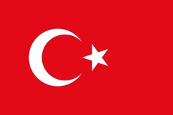 Поисковик по-турецки